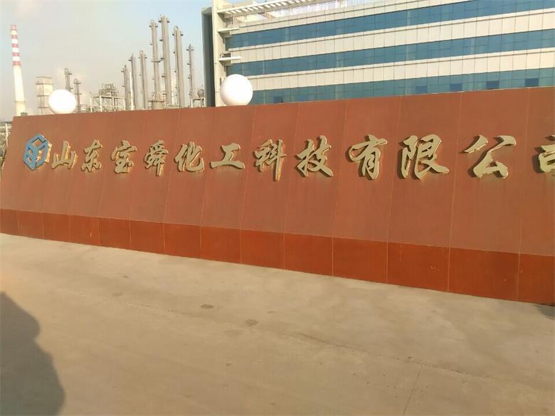 山東寶舜化工科技有限公司